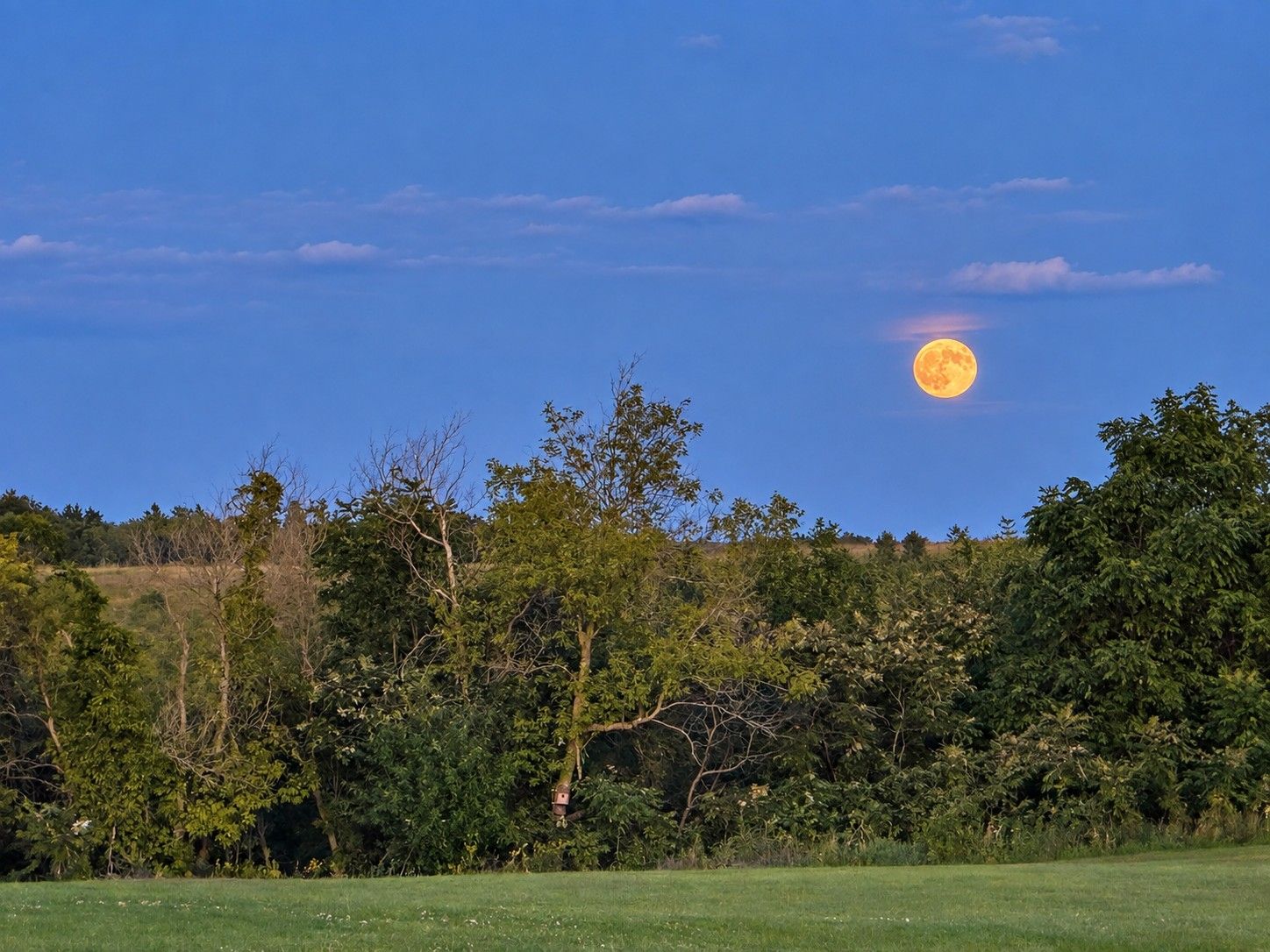 Incredible Moonrises from the Property